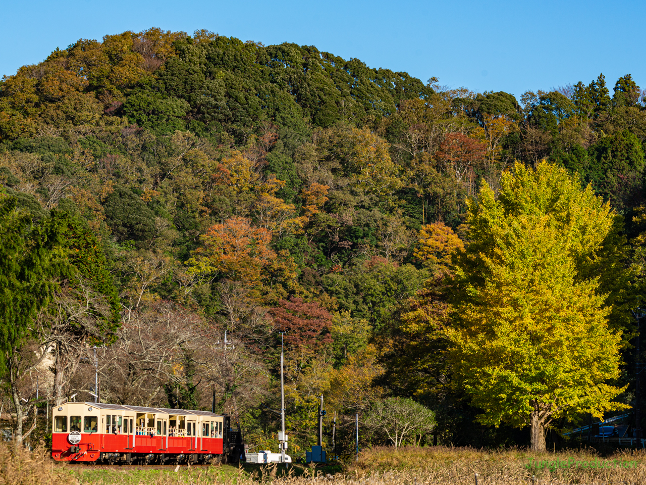 紅葉で色付く山と里山トロッコ列車