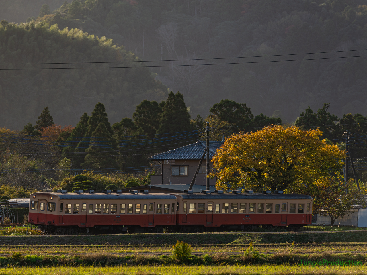 晩秋の里山とキハ