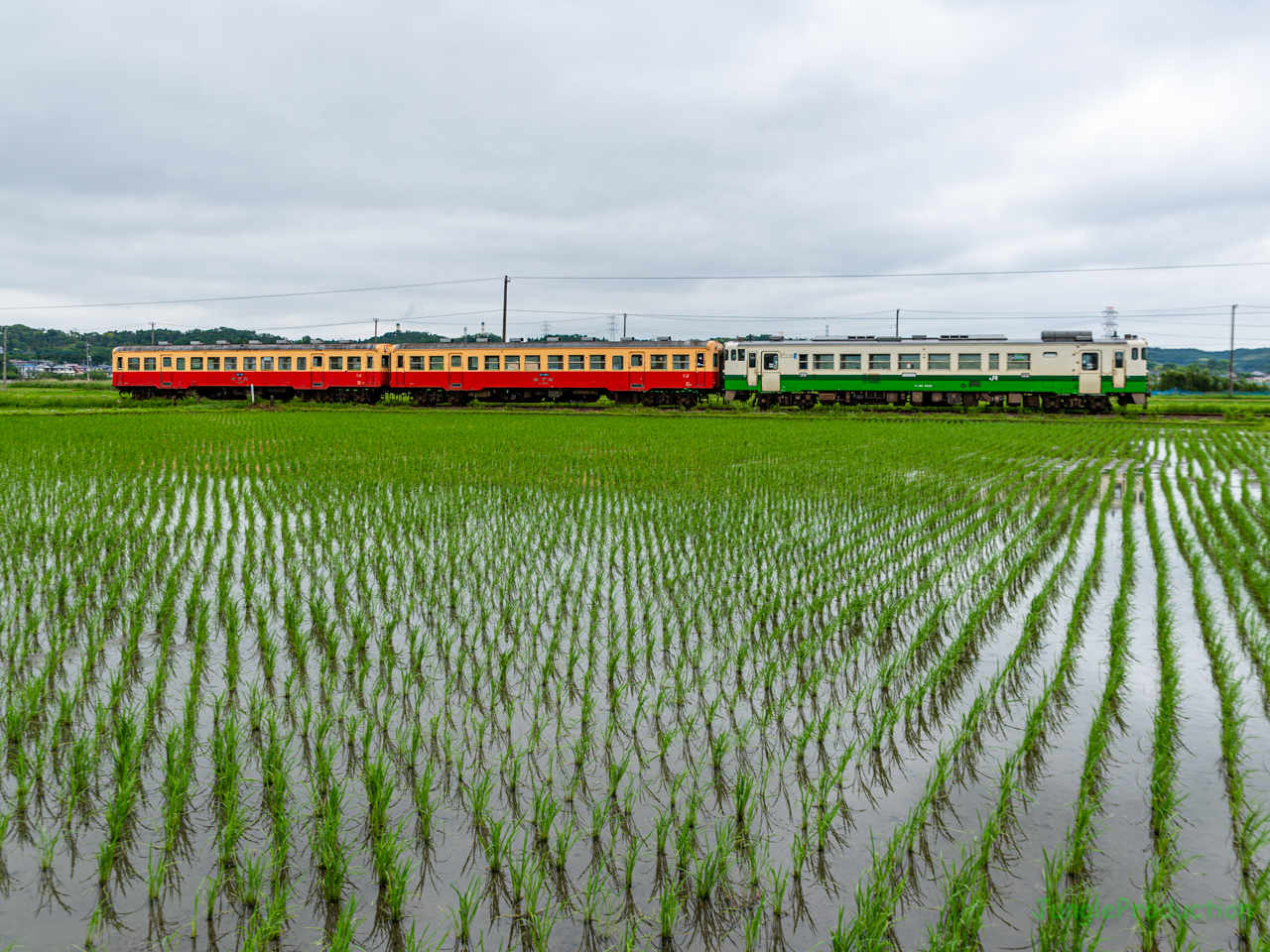 小湊鉄道の線路を東北色のキハ40が走る！