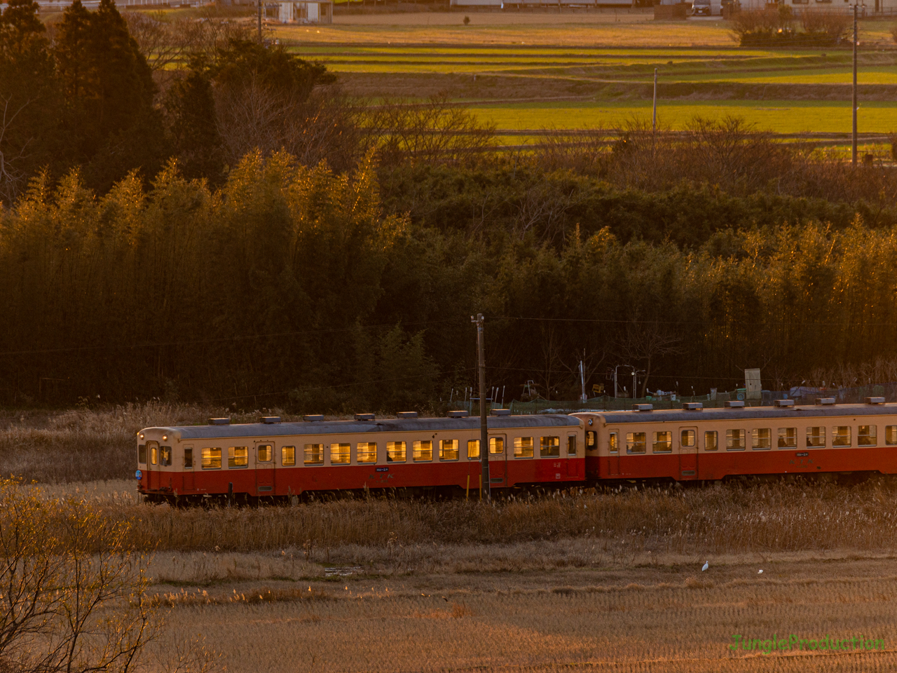 西広地区を走る窓を抜ける光が綺麗な小湊鉄道の列車