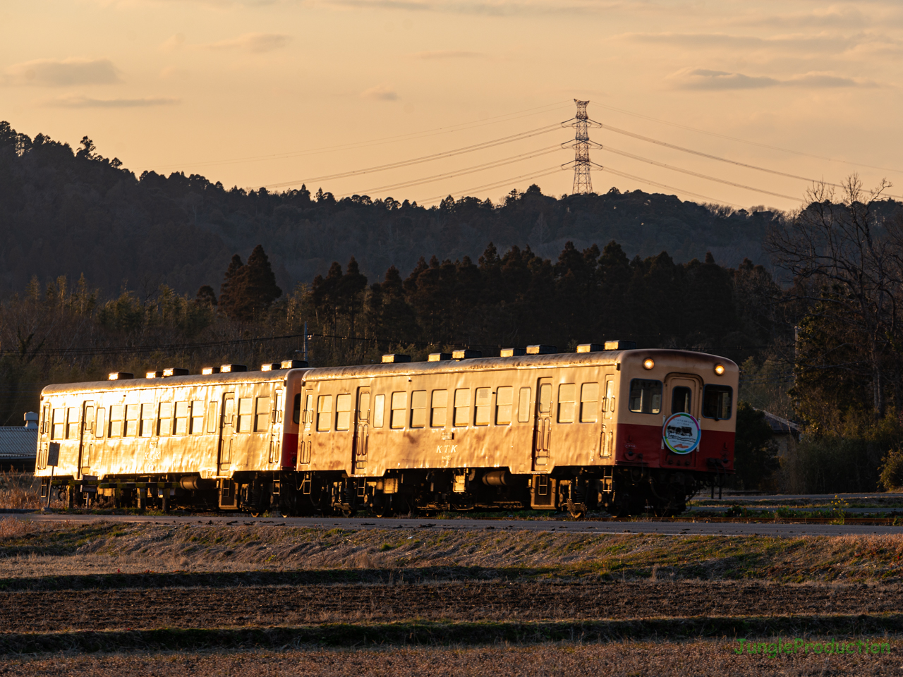 夕陽を受けて側面がギラリと光る小湊鉄道の列車