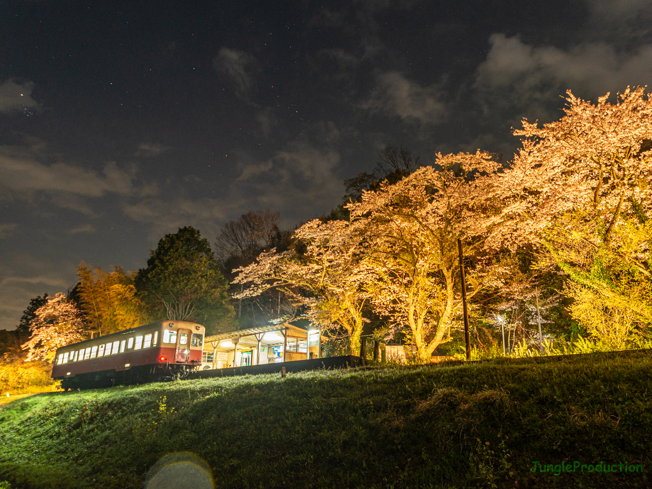 桜のライトアップと星空