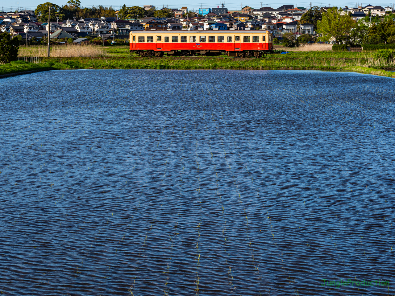 海沿いを走る小湊鉄道（嘘