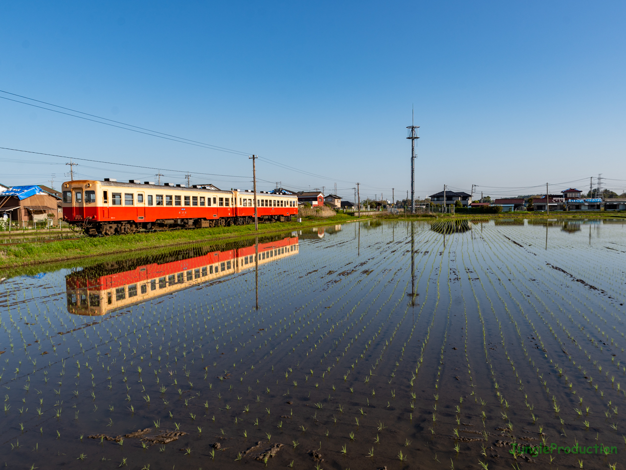 田んぼに映るキハと青空