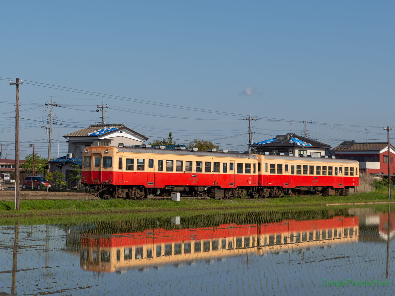 ブルーシートの屋根が残る風景