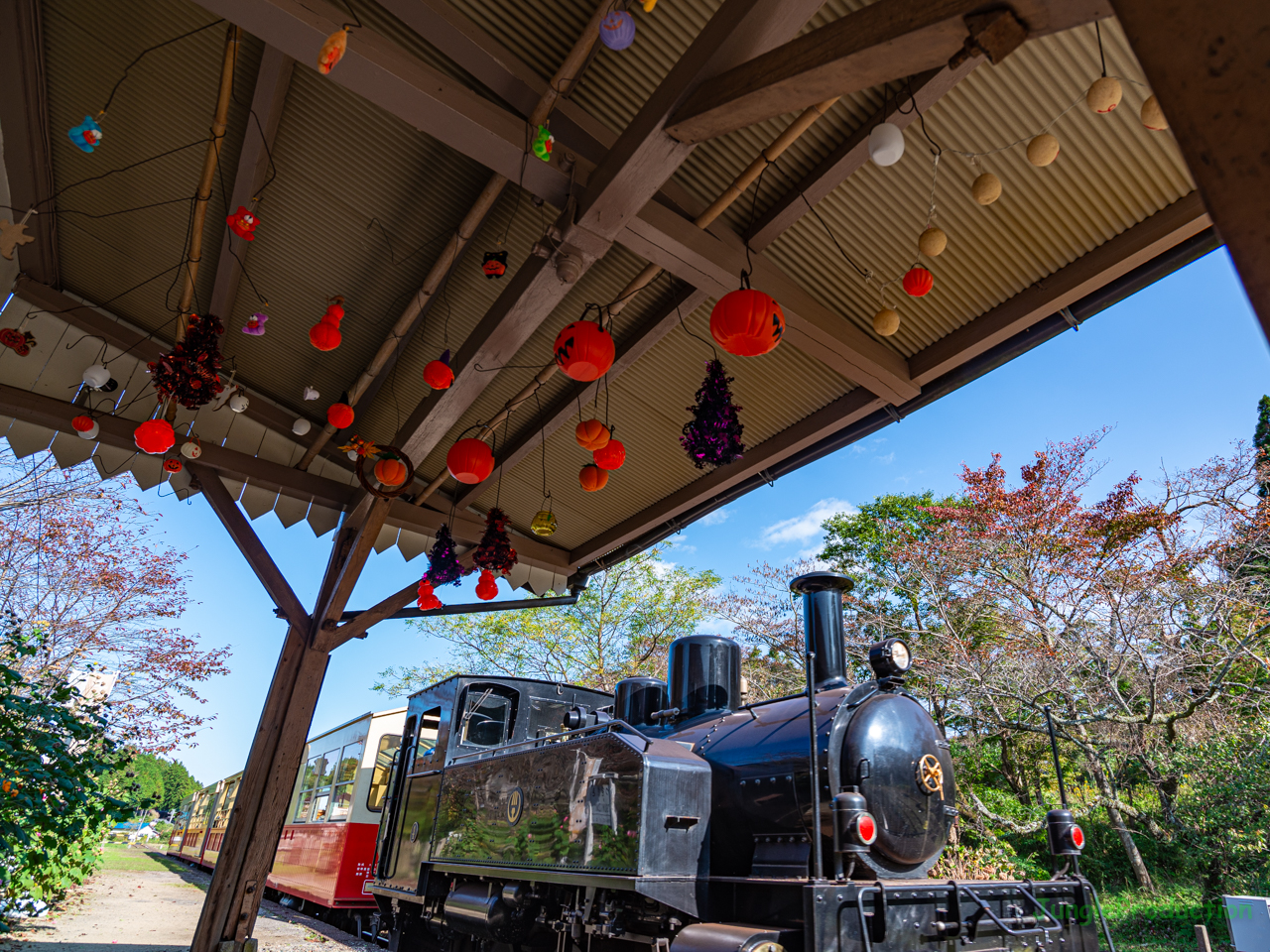 ハロウィーンの飾りが賑やかな月崎駅と里山トロッコ列車