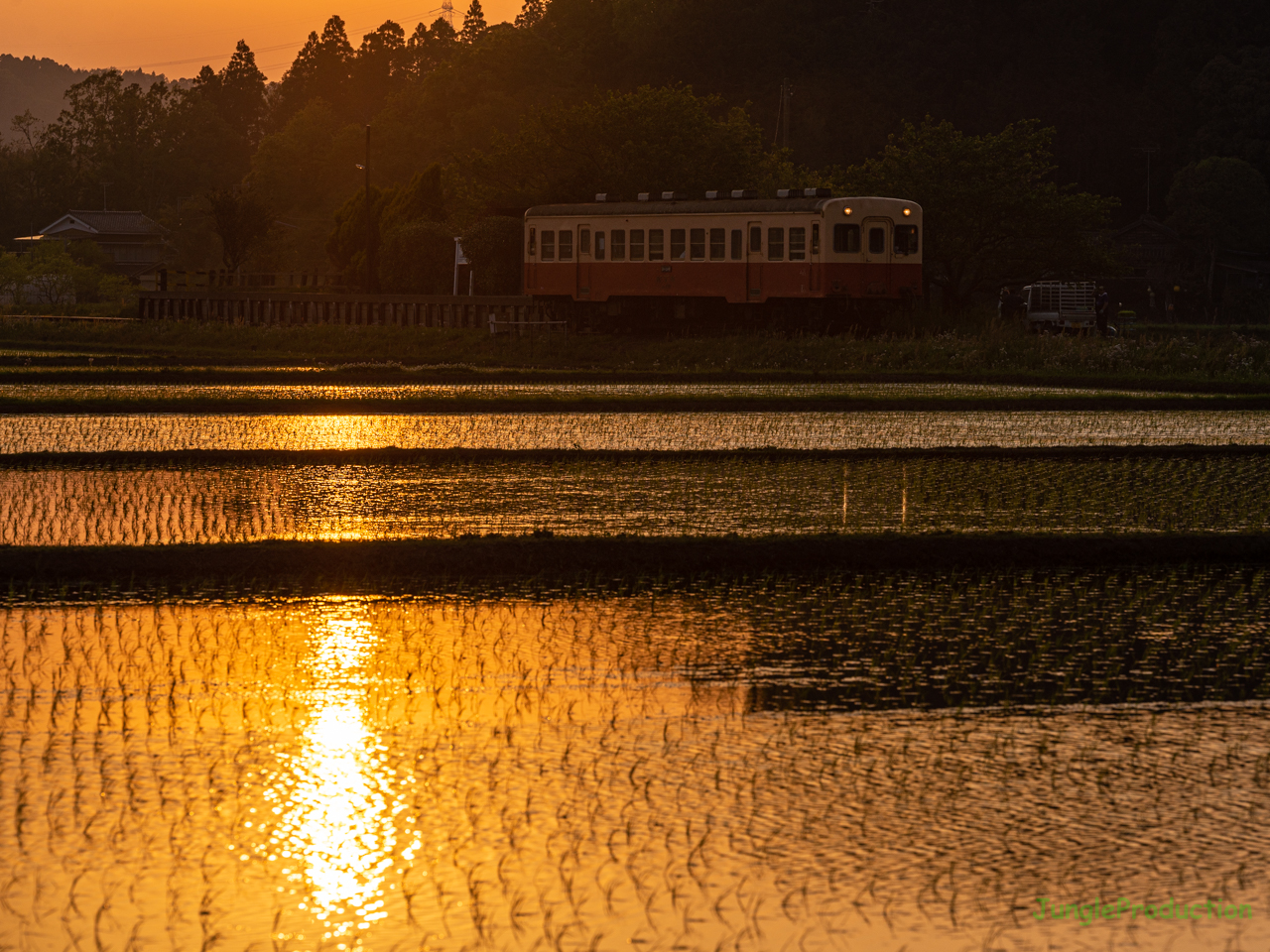 夕日を映す水田と上総川間駅