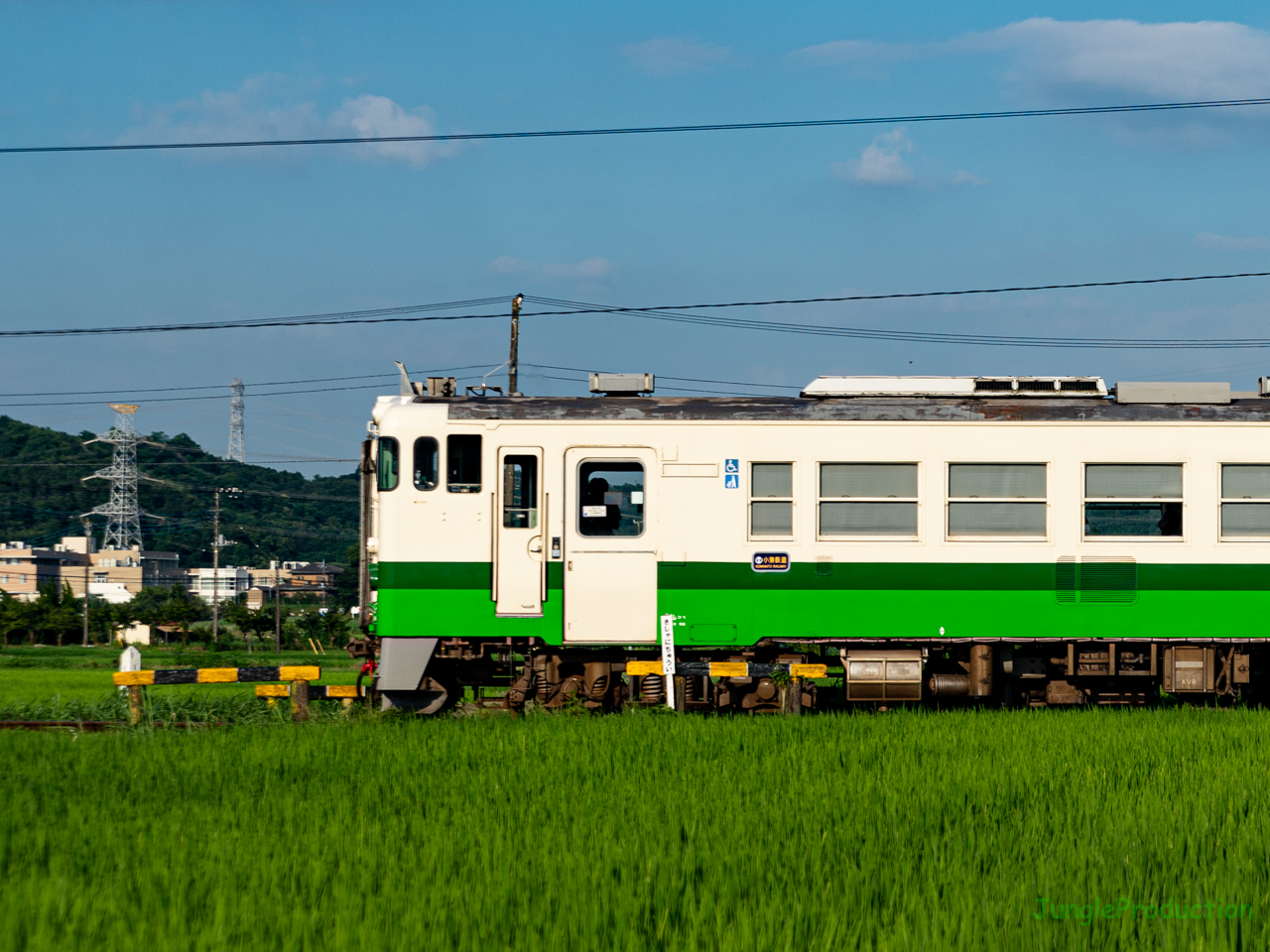 田んぼの中の踏切を通過するネギ色の車