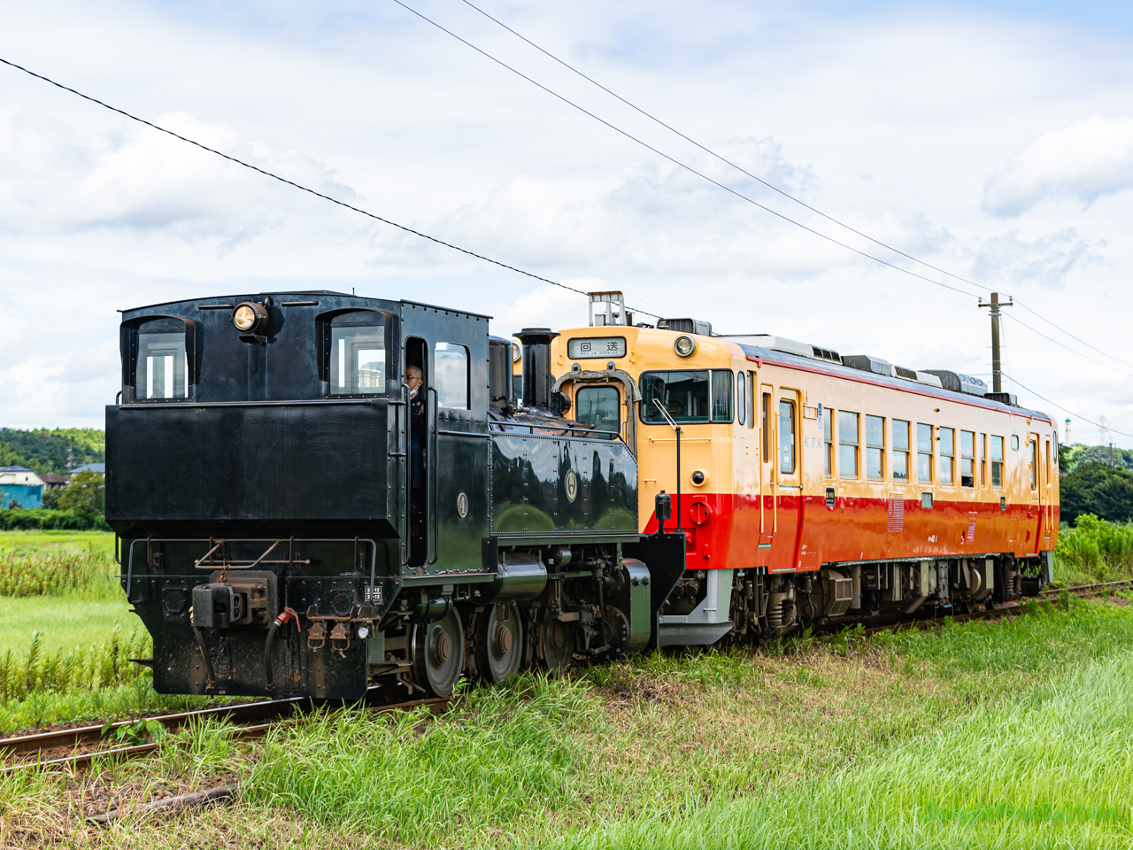 トロッコ列車の機関車に牽かれて401がやってきた