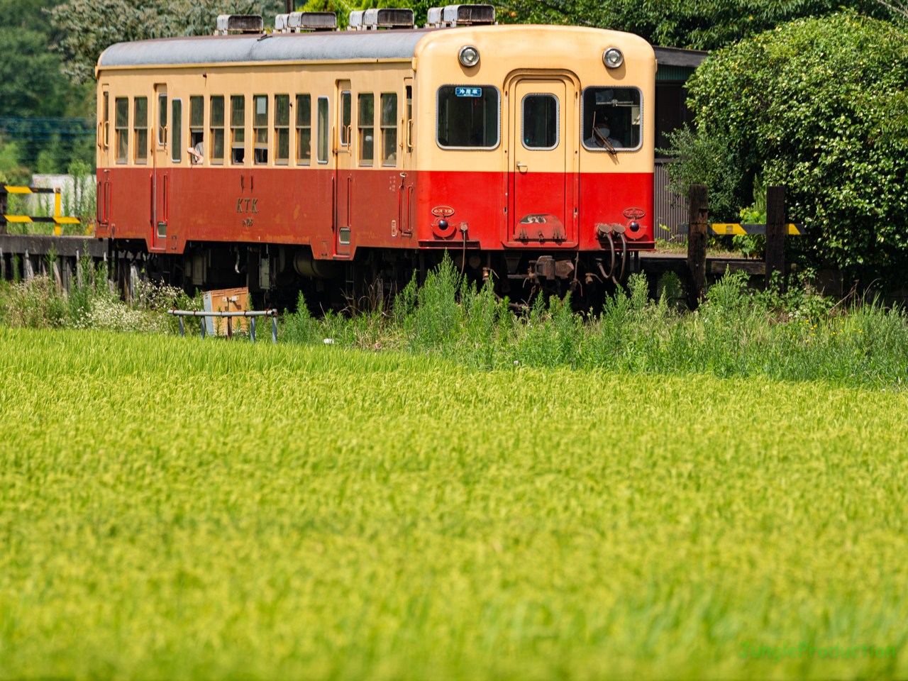 稲の香りが心地よい上総川間駅に停車中のキハ200