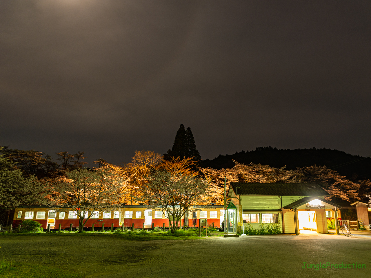 月崎駅で夜桜見物