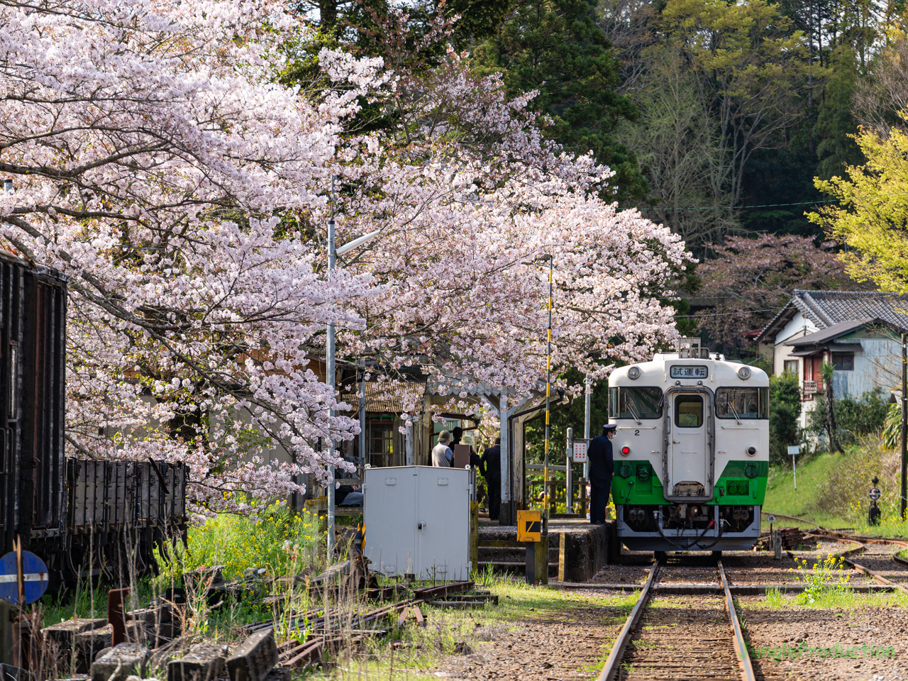 桜咲く里見駅に到着したキハ40の試運転列車