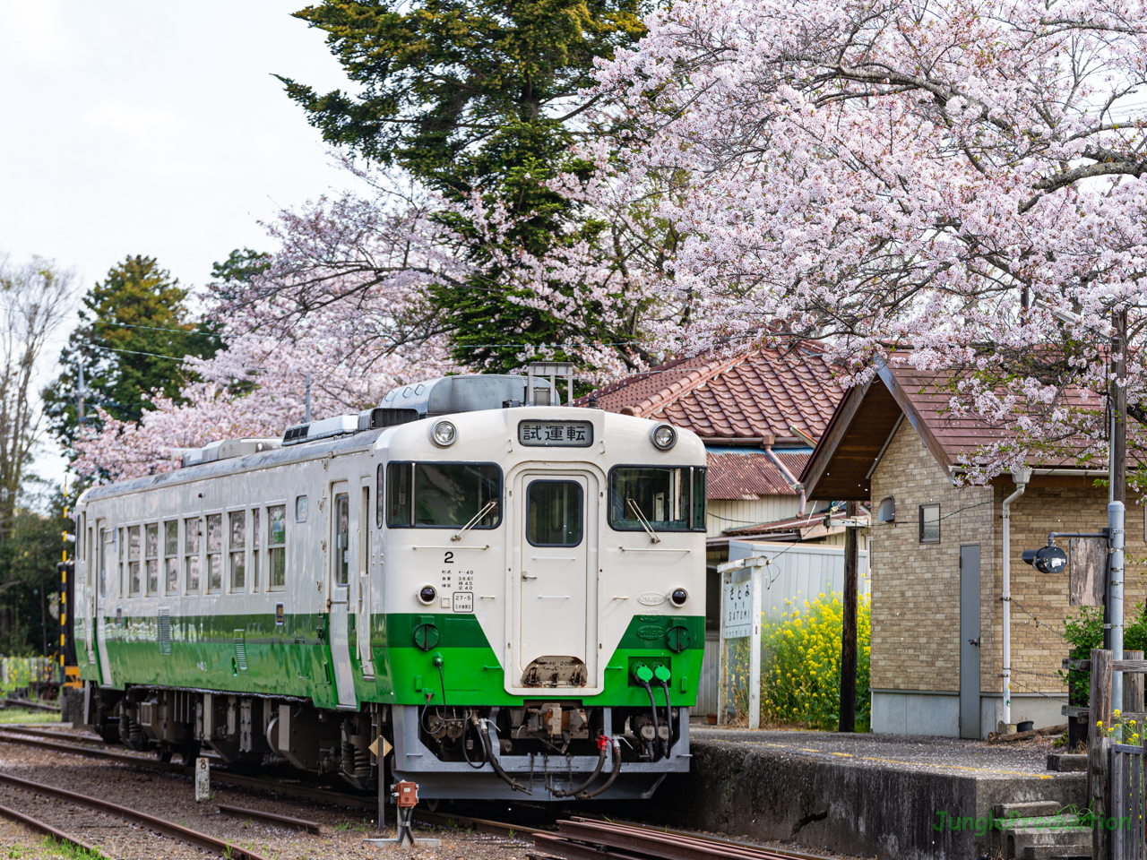 駅の反対側から里見駅に到着した試運転列車を撮る