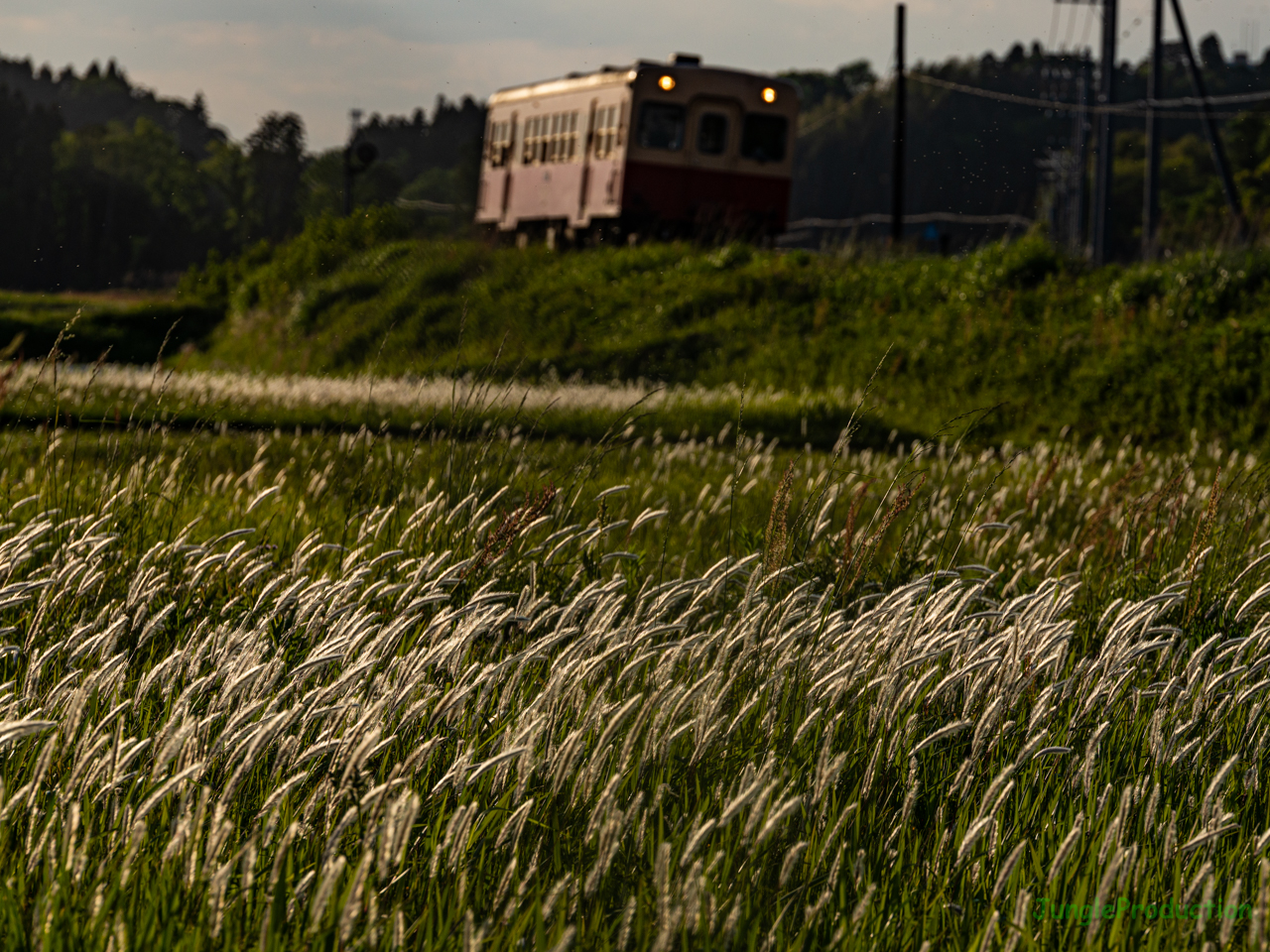 芦と小湊鉄道