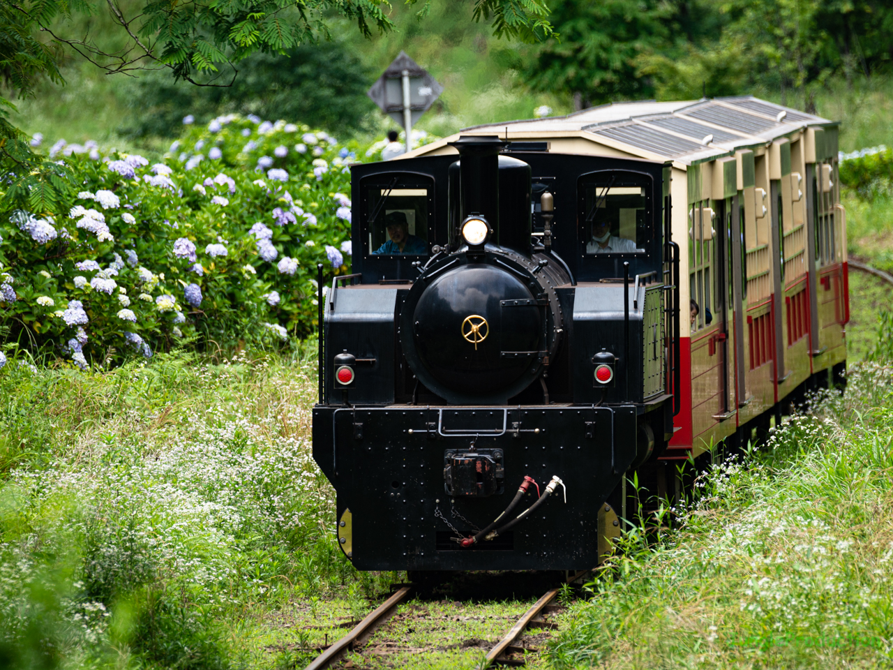 野田っぽりを走る里山トロッコ列車