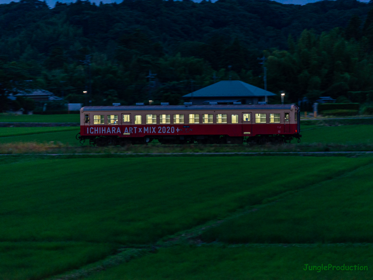 夕暮れの田んぼの中を気動車が走る