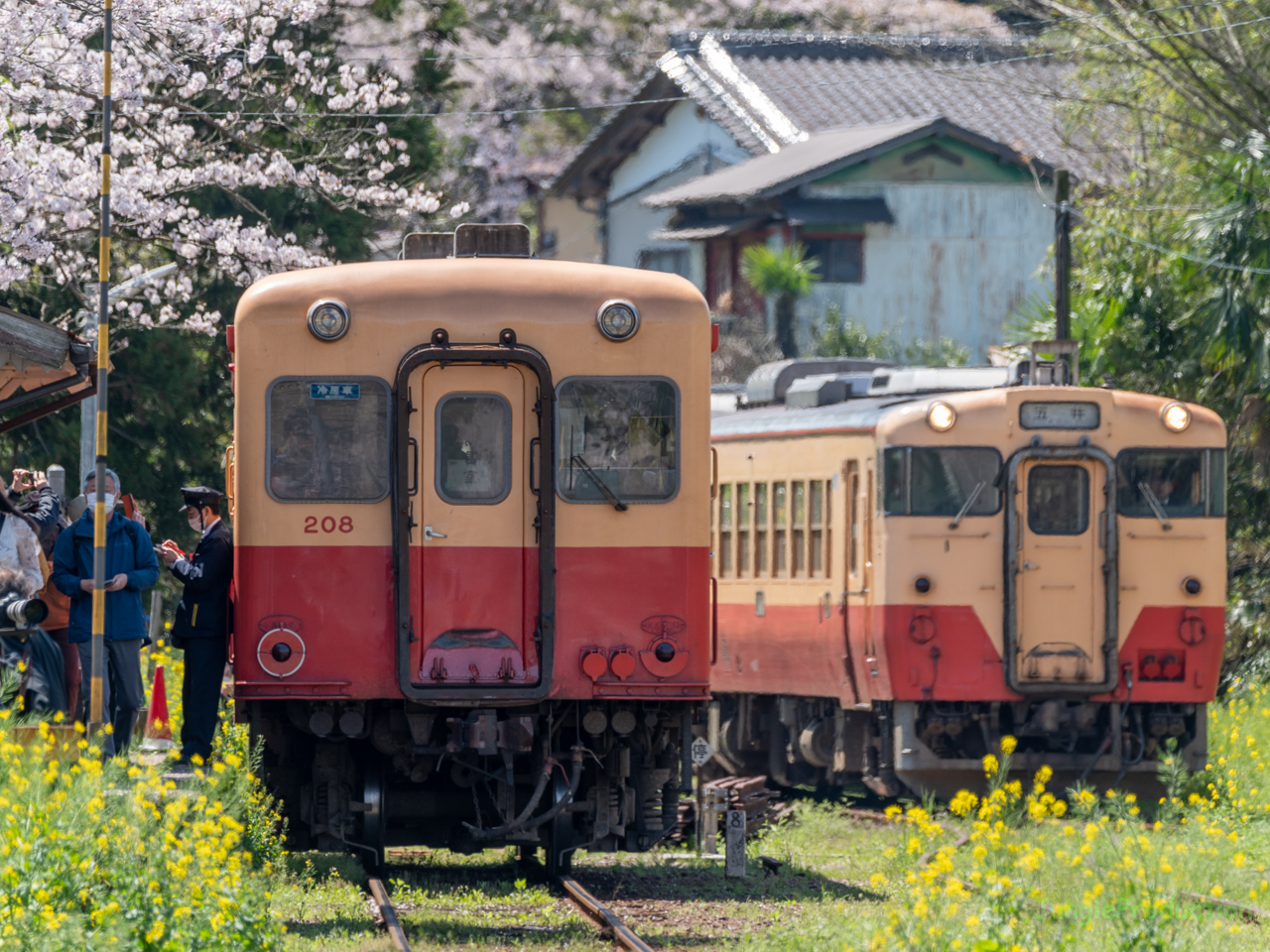 里見駅の桜とキハ200とキハ40