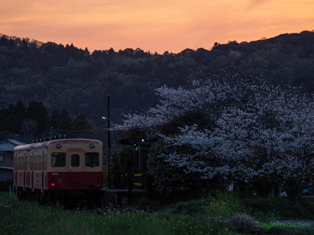 夕焼けに映える上総川間駅と小湊鐵道