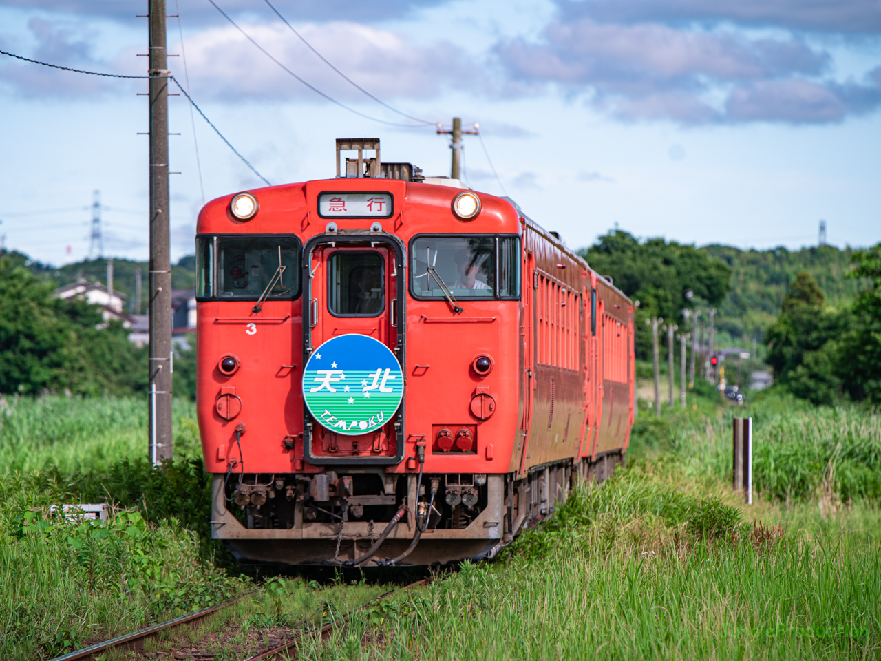 ヘッドマーク付き観光急行列車